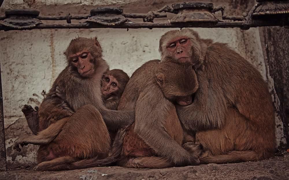 Ganga Paying Guest House Varanasi Bagian luar foto